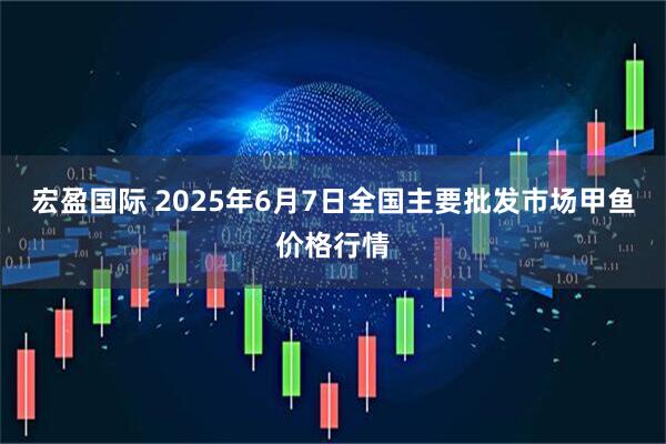 宏盈国际 2025年6月7日全国主要批发市场甲鱼价格行情